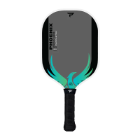 Paddletek Phoenix Sabre Carbon